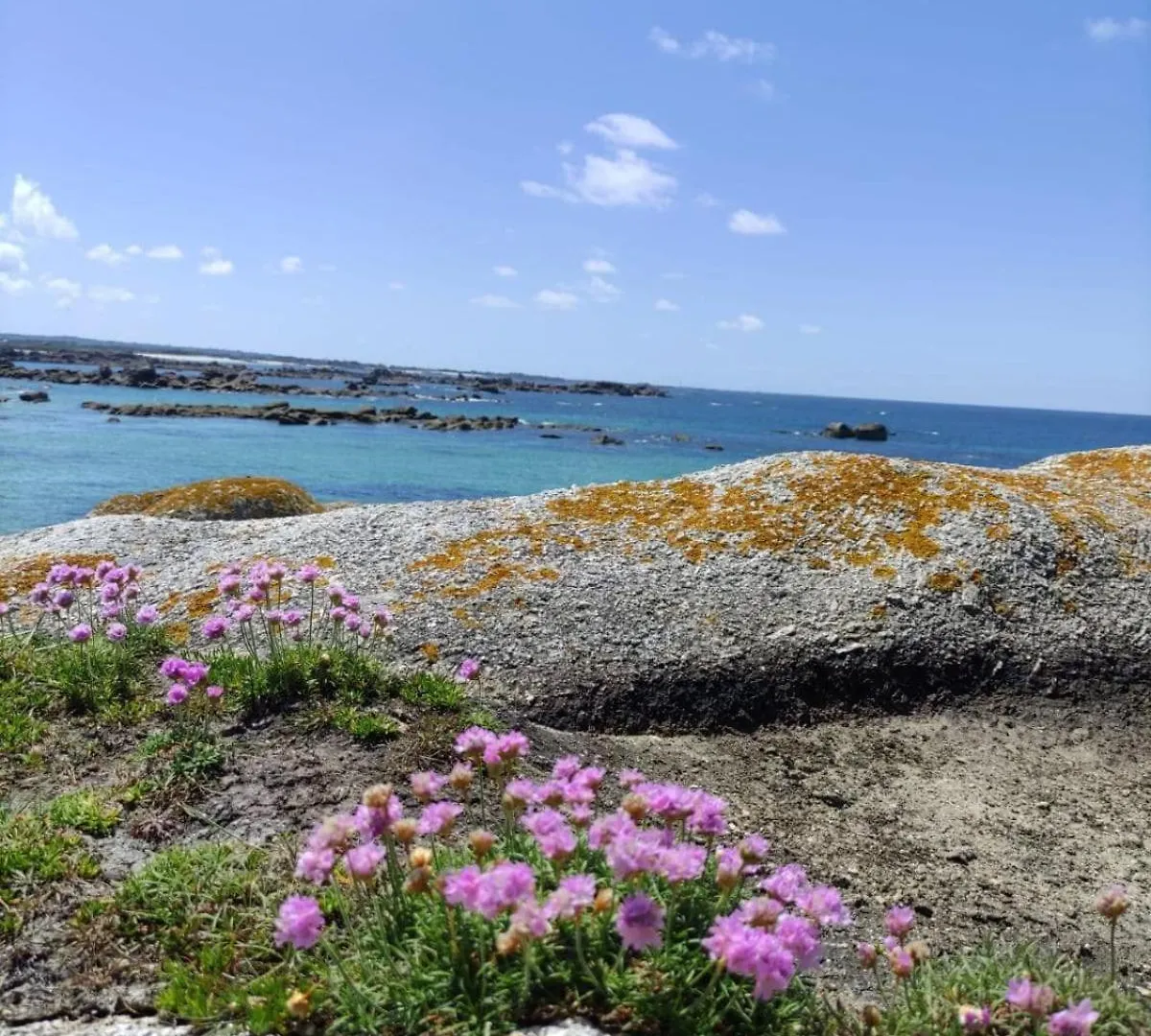 Le Ty Cocon Villa Saint-Fregant
